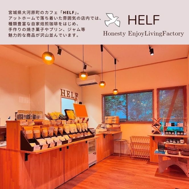 自家焙煎珈琲　水出しコーヒー (1パック 35g×3) アイスコーヒー HELF COFFEE コーヒー 水出し 自家焙煎 珈琲 アイス