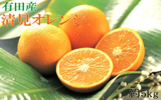 【濃厚】有田産清見オレンジ約5kg（サイズおまかせ 青秀以上） ※2027年2月中旬～2027年3月中旬頃発送予定（お届け日指定不可） / くだもの フルーツ 柑橘 オレンジ 清見オレンジ 和歌山 みかん【tec958】