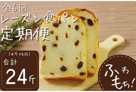 【室戸海洋深層水仕込み】レーズン食パン年６回定期便 食パン ぱん 朝食 ギフト 定期便 人気 食事用パン おやつ レーズン ぶどう ドライフルーツ４斤×６回