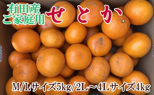  (訳あり・ご家庭用)一度は食べていただきたい「有田産のせとか」約4kg～5kg　※2027年2月中旬～2027年3月中旬頃に順次発送【tecj1032】 