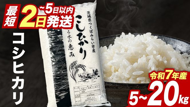 ＼ 選べる出荷時期 ／ コシヒカリ 5kg / 10kg / 15kg / 20kg 令和7年産精米【 数量限定 】茨城県つくばみらい市産 米 コメ 単一米 11000 22000 33000 44000 茨城県産 国産 即納 スピード配送 すぐ届く 発送 早い 即発送 コスパ こしひかり 即日発送
