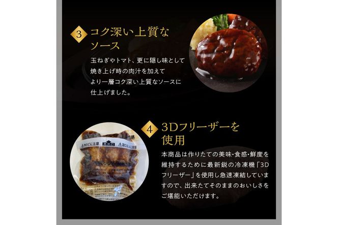 【A4-047】【レンジ対応！】博多和牛熟成ハンバーグ／特製デミソース (10個入り)