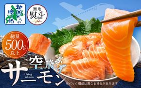 099H3605-1 【無地熨斗】アトランティックサーモン 総量 500g以上【フィレ エコパック 訳あり サイズ不揃い 刺身 さーもん 冷凍 北国からの贈り物】