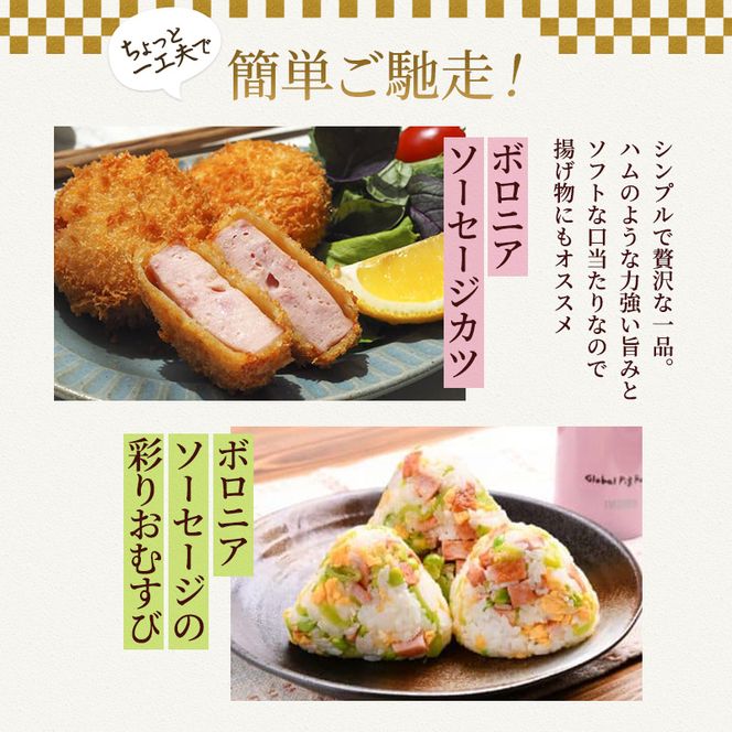 【定期便3回】和豚 もちぶた お試しセット 3ヶ月連続 こだわりのちょっと贅沢 ソーセージ 角煮 もち豚 豚肉 ポーク 肉 豚 ぶた ブタ 豚ロース 加工肉 レトルト レトルト食品 加工肉 アウトドア キャンプ バーベキュー