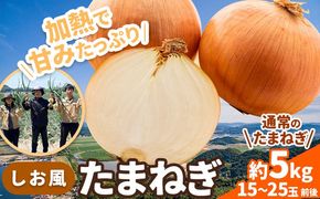 たまねぎ【2025年先行予約分】しお風たまねぎ 約5kg《2025年6月上旬-6月末頃出荷》 玉ねぎ たまねぎ 野菜 青果物 岡山県 笠岡市 玉ねぎ 5kg---223_1055_6j6m_24_4500_5kg---