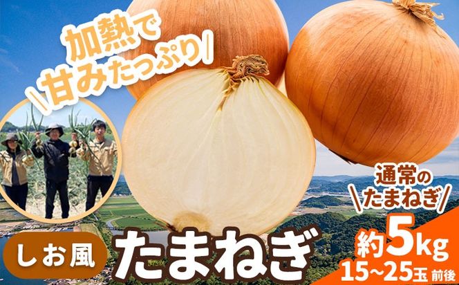yR}sz܂˂ys\z܂˂ 5kgs6{-6oׁt ʂ˂ ܂˂  ʕ R }s ʂ˂ 5kg---kasaoka_zsy_143_5---