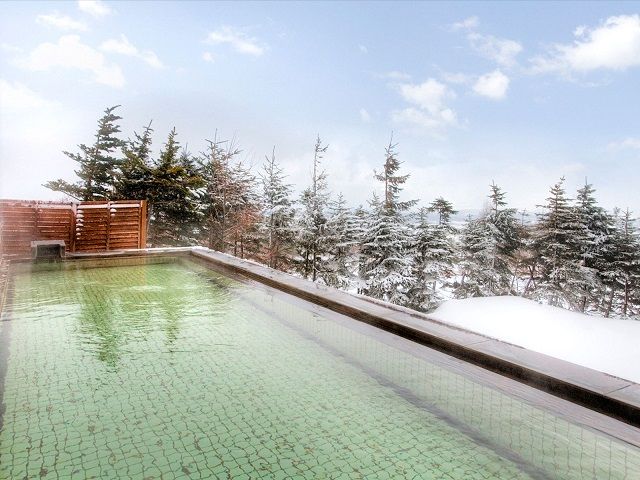 ロックウッド・ホテル＆スパ：期間限定【スノーリゾート】天然温泉に浸かる旅　1泊2食付（平日限定：スタンダードツイン お二人様ご招待） 宿泊券 旅行 