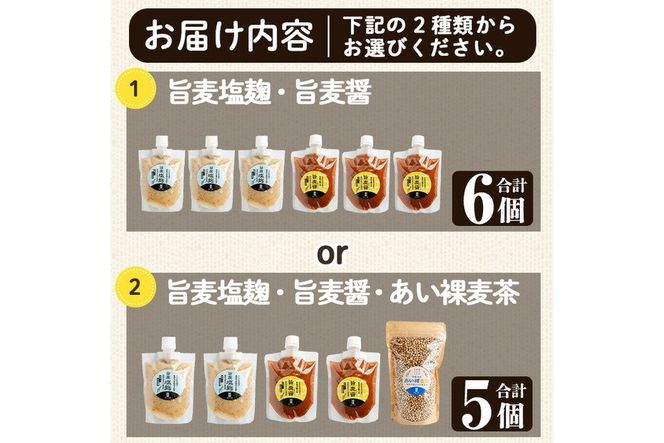 a954 ＜種類が選べる＞あい裸麦セット！【あいらぼ】姶良市 麦塩麹 塩麹 こうじ タレ たれ 万能調味料 料理 和食 発酵食品 調味料 麦茶 お茶 セット 詰め合わせ 小分け
