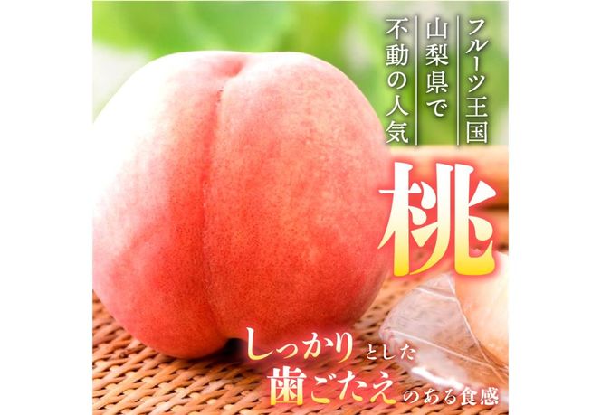【2026年発送 先行予約】 山梨の朝どれ桃 【単品 定期便 が選べる】 もも 山梨県産桃 果物 くだもの 果物 フルーツ 山梨 富士吉田