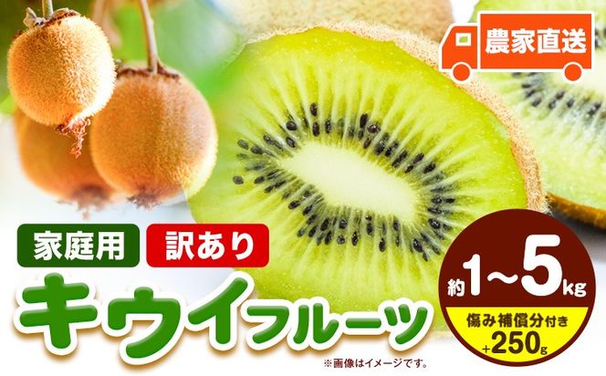 先行予約 ご家庭用 キウイ フルーツ 約1kg 約2.5kg 約5kg 各＋250g (傷み補償分) 池田鹿蔵農園@日高町（池田農園株式会社）《11月中旬～2027年4月下旬出荷》【配送不可地域あり】和歌山県 日高町 わけあり 訳あり 扁平果---wsh_idn380_11c4g_26_6000_1kg---