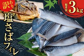 訳あり 減塩 塩サバ フィレ Sサイズ 総重量 3kg [足利本店 宮城県 気仙沼市 20565959] 魚介類 魚 大容量 サバ さば 鯖 塩分控えめ 切り身 冷凍 訳アリ