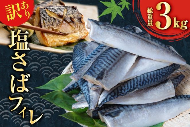 訳あり 減塩 塩サバ フィレ Sサイズ 総重量 3kg [足利本店 宮城県 気仙沼市 20565959] 魚介類 魚 大容量 サバ さば 鯖 塩分控えめ 切り身 冷凍 訳アリ