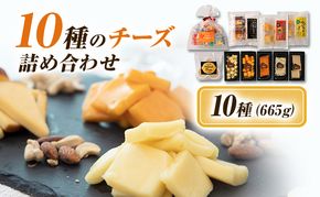 10種のチーズの詰め合わせおつまみ 詰め合わせ  セット 長野 信州 小諸 乳製品 加工食品 盛り合わせ 