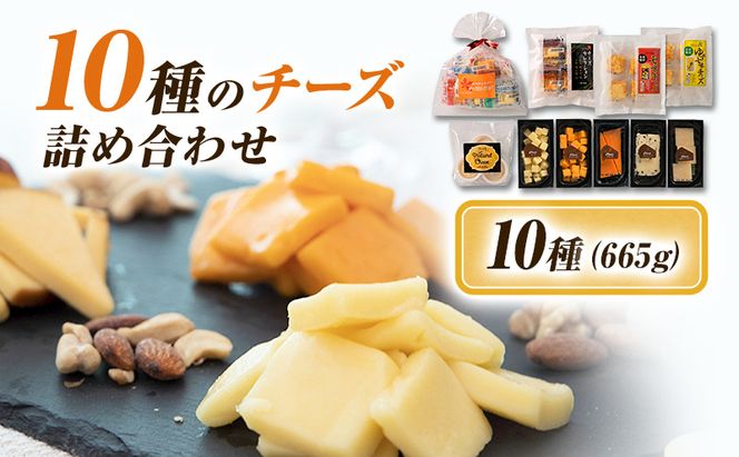 10種のチーズの詰め合わせおつまみ 詰め合わせ  セット 長野 信州 小諸 乳製品 加工食品 盛り合わせ 