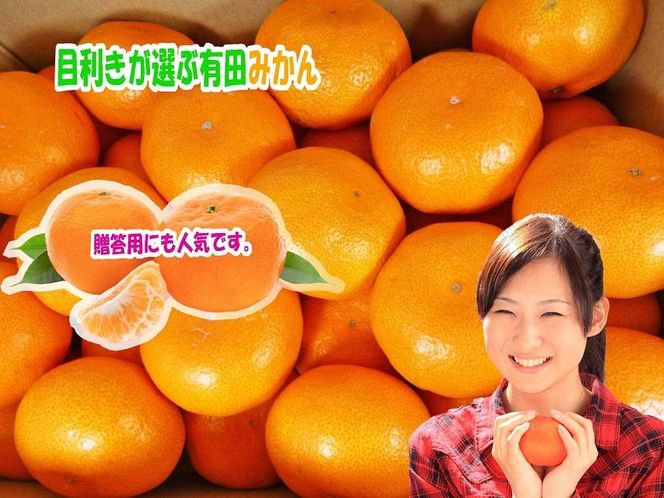 ya̎RLc쒬zLTCY10kg ڗIԗLc݂ CB018