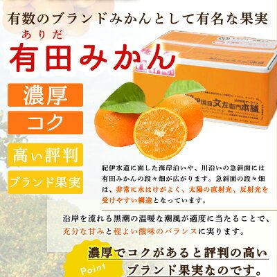 V7438_【2026年先行予約】ブランド有田みかん 秀品5kg【サイズおまかせ】／産地直送／薄皮で甘い美味しい和歌山県産／紀伊国屋文左衛門本舗（お届け日指定不可）