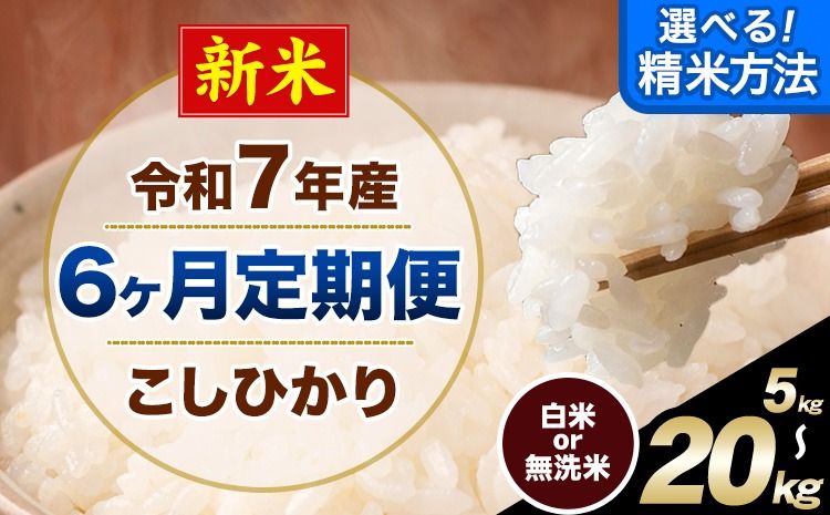 [6ヶ月定期便]新米 令和7年産 無洗米 も 選べる 定期便 こしひかり 白米 or 無洗米 選べる精米方法 定期便 内容量 5kg 10kg15kg 20kg 白米 精米 無洗米 熊本県産(南阿蘇村産含む) 単一原料米 南阿蘇村[11月から出荷開始]---kh7tei_75000_5kg_nov6_mna_h---