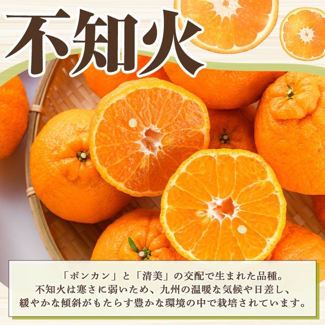 訳あり！露地栽培の不知火(4kg) 国産 不知火 しらぬい 柑橘 果物 フルーツ デザート 露地 果実 期間限定 数量限定【古田果樹園】akn093-03