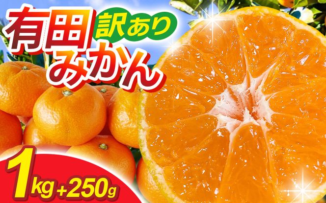 ya̎RI쒬zys\zƒpLc݂TCY(2S`2L)1kg+250g 11蔭(n)/ ݂ ~J Lc݂ k t[c ʕ a̎R IWyikd210z