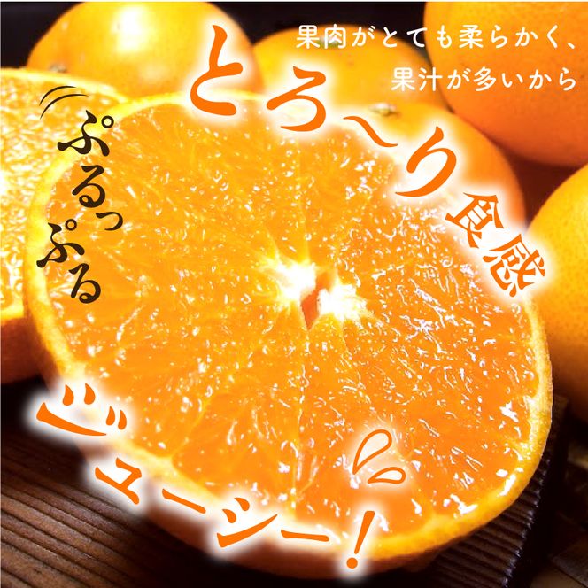 【2027年先行予約】せとか 秀品 約5kg 和歌山県有田産 春みかん 春柑橘 (果実サイズおまかせ)/紀伊国屋文左衛門本舗_V7410