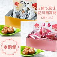 【定期便】紀州南高梅 2種の風味 テトラピロー 個包装 12個入 ×12_BL6155