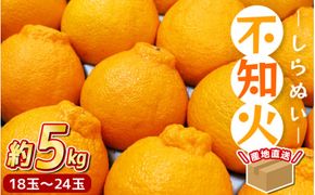 不知火 約 5kg(18～24玉) 先行予約 ＼ みかんの名産地 和歌山県 産／ / みかん 果物 柑橘 フルーツ ※2027年2月中旬～3月下旬頃発送予定【hdm010-r-5B】