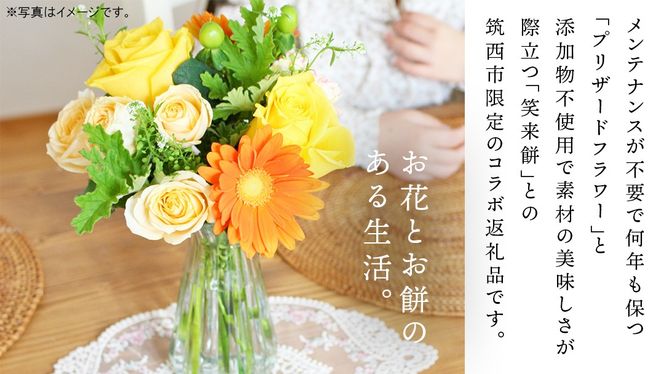 【 筑西市 ふるさと納税限定 コラボ 】 《 花色 おまかせ プリザーブド フラワー S 》《 笑来餅 2個 セット（白2個） 》 アレンジメント 生花 ギフト プレゼント 誕生日 記念日 敬老 餅 もち もち米 [ZZ048ci]
