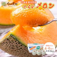 【2026年夏発送】北海道 富良野産 赤肉メロン 4～6玉 大箱8kg メロン フルーツ 果物
