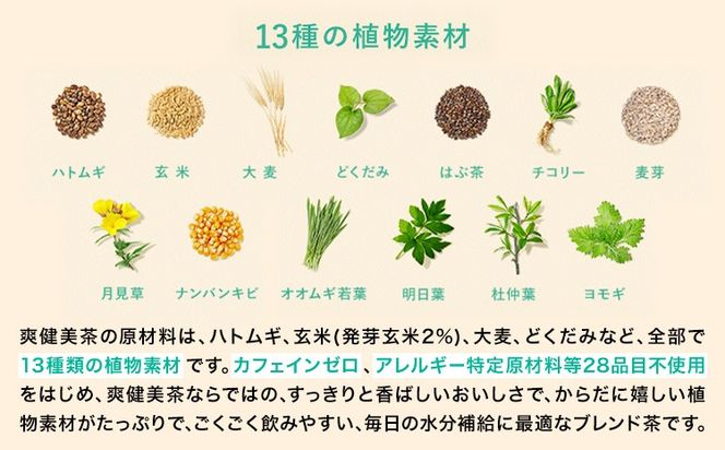 爽健美茶 600ml×24本 コカ・コーラボトラーズジャパン 《30日以内に出荷予定(土日祝除く)》 和歌山県 紀の川市 お茶 茶 ハトムギ 玄米 月見草---wsk_coc4_30d_25_15500_24h---