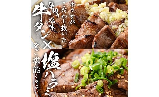 ＜定期便・全6回 (2か月ごとの発送)＞ 特選 牛タン ・ 牛ハラミ セット (総量4.8kg) 定期便 小分け 牛肉 肉 タン 牛たん ハラミ 牛はらみ 詰め合わせ 味付け 焼肉 塩 BBQ 冷凍 大分県 佐伯市【DH328】【ネクサ】