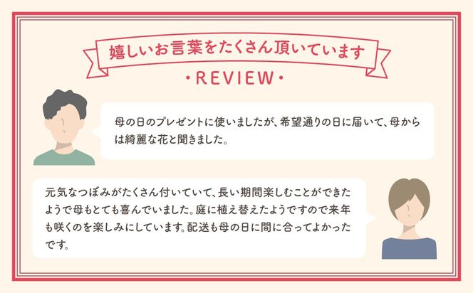 ＼先行受付 令和8年5月10日の母の日お届け：5月6日(水) 決済完了分まで！／  クレマチス 「 プリンセスダイアナ 」 5号鉢 ラッピング付き 母の日直前にお届け 2026年 お母さんへの心を込めた贈り物 長持ち 鉢植え フラワーセット プレゼント 送料無料 故郷納税 福島県 田村市 フローラハシモト N052-006