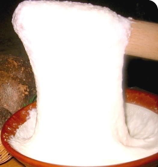 【芋家なか吉】丹波山の芋すりおろし 冷凍 とろろ１kg (10パック) ［ 京都 芋 いも イモ 便利 小分け 新鮮 人気 おすすめ お取り寄せ 通販 ふるさと納税 ］ 261009_B-SG06