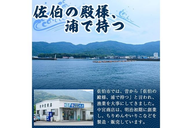 豊後水道 米水津産 しらす (計1kg・500g×2P) 魚 小魚 魚介類 シラス おつまみ カルシウム 大分県 佐伯市 【FA01】【(有)中宮商店】
