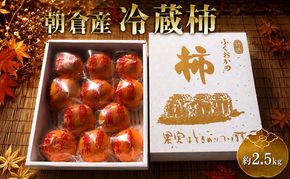 冷蔵 柿 約2.5kg 正箱入り フルーツ 果物 デザート かき カキ (有)ティース 配送不可：沖縄・離島 