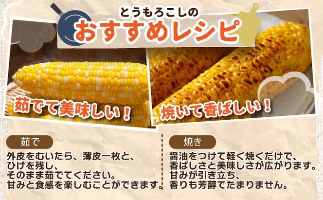 ＜先行予約＞北海道産 とうもろこし 恵味 Lサイズ 20本 | トウモロコシ とうきび コーン スイートコーン 国産 野菜 人気 ふじいファーム