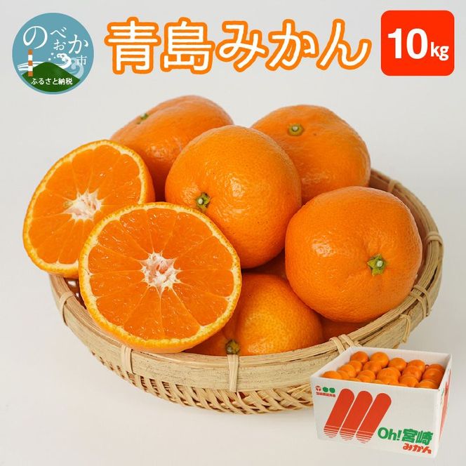 y{茧sz݂ 10kg@N0132-YB351