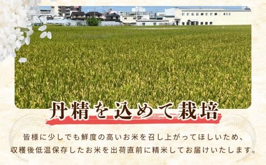 G5554 令和８年産 泉佐野産あきたこまち 10kg【赤坂農園 米 コメ お米 白米】