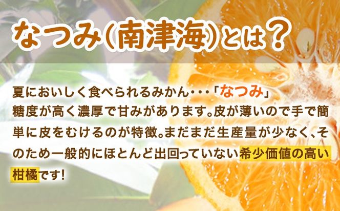 ＜先行予約＞初夏のみかん なつみ 約3kg 株式会社 魚鶴商店《2027年4月中旬-4月下旬頃出荷》 和歌山県 日高町 みかん なつみ 南津海 柑橘 果物 フルーツ 送料無料---wsh_uot138_4c4g_25_11000_3kg---
