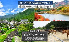 ns124-004 那須塩原市 後から選べる旅行Webカタログで使える！ 旅行クーポン（300,000円分）旅行券 宿泊券