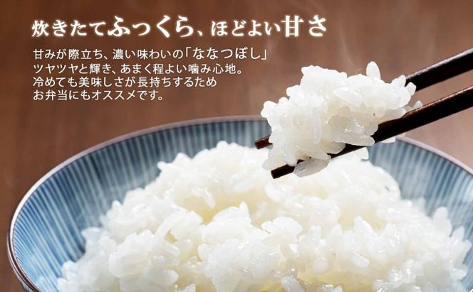 定期便 6ヵ月連続6回 北海道産 ゆめぴりか ななつぼし 食べ比べ セット 精米 5kg 各1袋 計10kg 米 特A 白米 お取り寄せ ごはん ブランド米 ようてい農業協同組合 ホクレン 送料無料 北海道 倶知安町 お米 加工食品 惣菜 