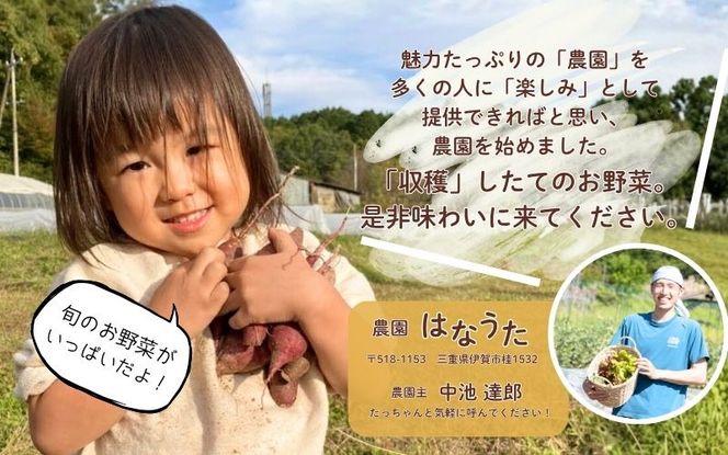 農園はなうた お野菜収穫体験券 5名様まで hnut0001