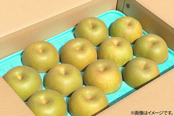 《先行受付》男鹿の梨 豊水 約5kg 8～14玉 梨 秋田県 男鹿市 ＜めぐみ農園＞ 2026年9月中旬より発送|23_mgm-010501