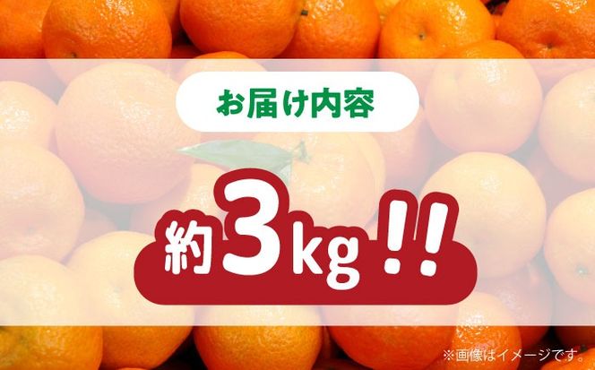 【高糖度】訳あり 温州みかん 約3kg（傷もの）/ みかん ミカン 蜜柑 果物 フルーツ / 南島原市 / 南島原果物屋[SCV022]