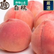 ［先行予約］和歌山の厳選白桃 約1kg［白鳳・清水白桃・川中島・もも・はくとう］［化粧箱入り］［IKE316］ 303446_BB97393