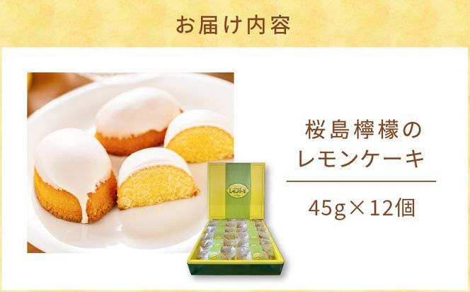 桜島檸檬のレモンケーキ　K236-001