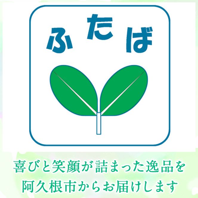 さをり織り ワンショルダーバッグ (1個) 国産 バッグ かばん 日用品 雑貨 ファッション 手作り ハンドメイド 工芸品 【デイハウスふたば脇本】akn041-17