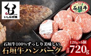 石垣牛ハンバーグ 120g×6個 【高級黒毛和牛 国産 ハンバーグ 国産牛 石垣牛 沖縄県 沖縄 琉球 八重山 八重山諸島 石垣島 石垣 ハンバーグ】AB-016