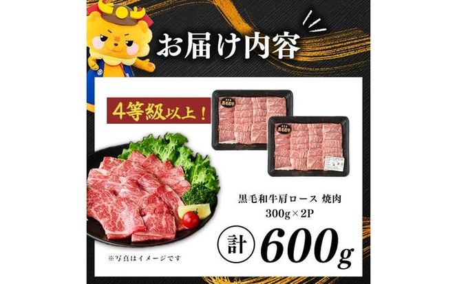 鹿児島県産黒毛和牛肩ロース焼肉用 (計600g・300g×2P) a4-114
