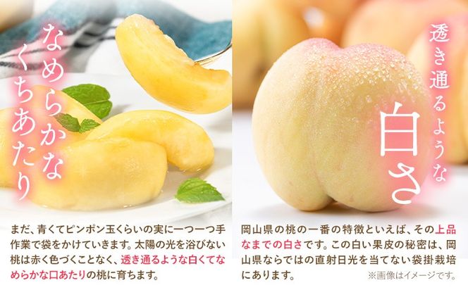 岡山の桃 2kg 5～9玉前後《1－5営業日以内に出荷（土日祝除く）》ご家庭用 訳あり スイーツ フルーツ 果物 デザート 旬 岡山県 矢掛町 桃 モモ もも 先行 予約 送料無料---yakage_loc_23_h---
