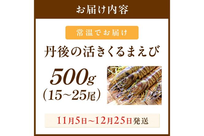 丹後の活きくるまえび 500g（15～25尾）　MN00060